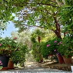 Ektora\'S House