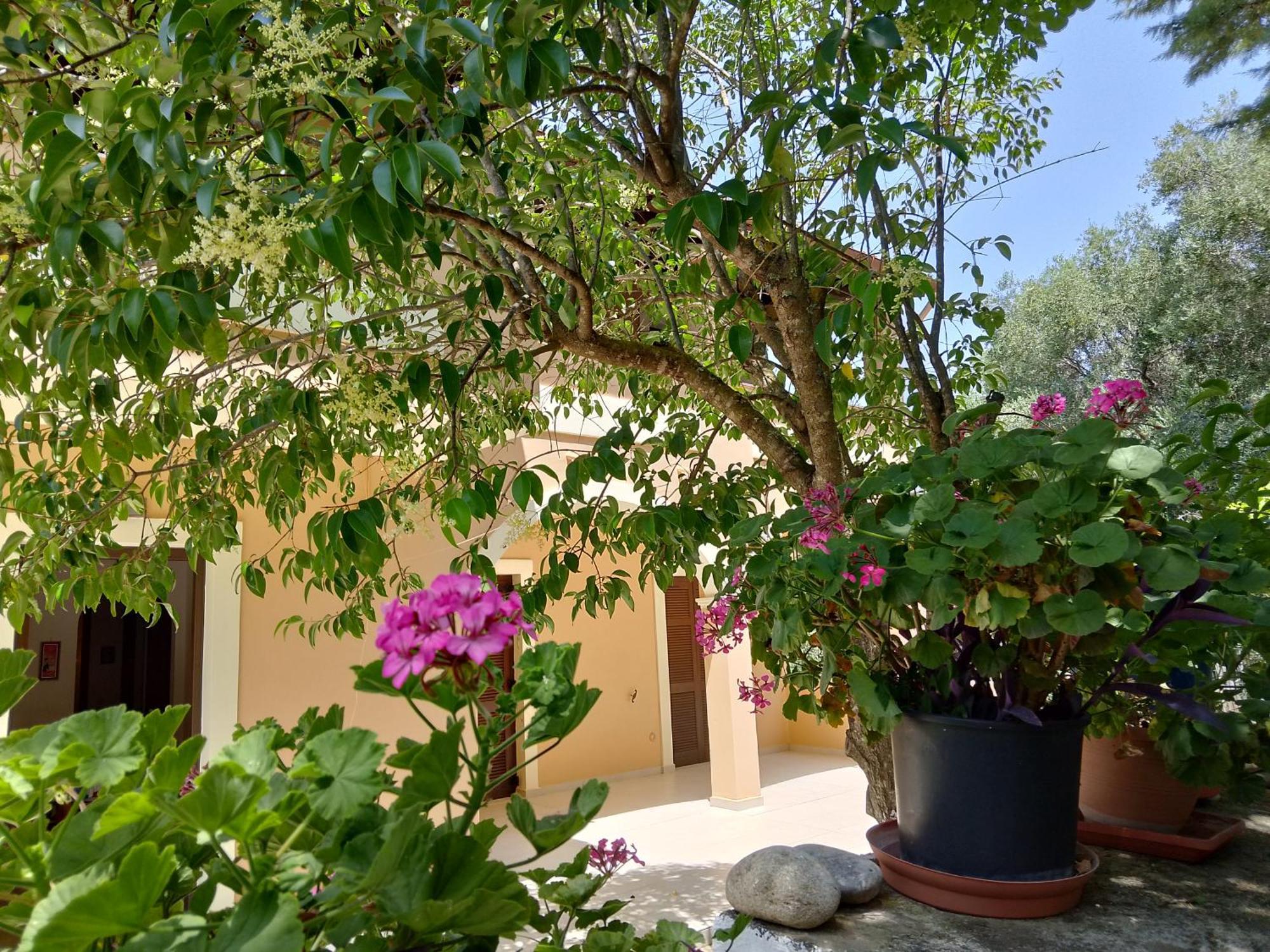 Holiday home Ektora's House *