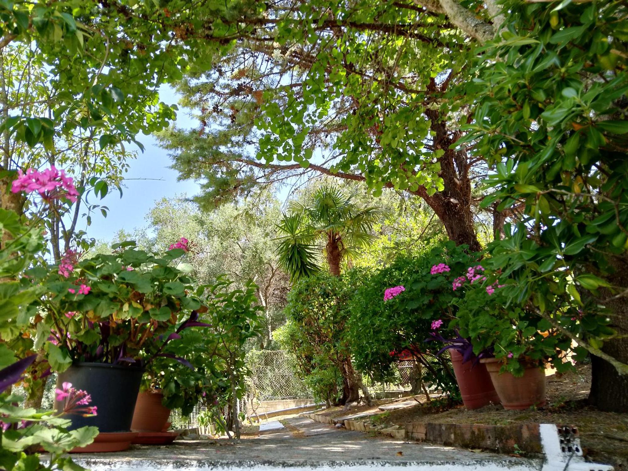 Casa vacanze Ektora's House