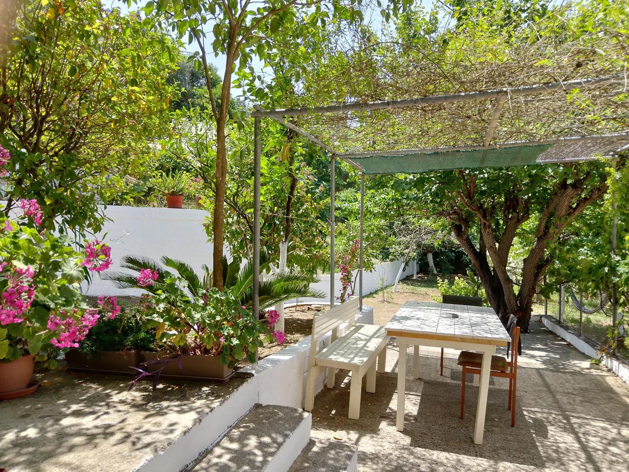 Casa vacanze Ektora's House